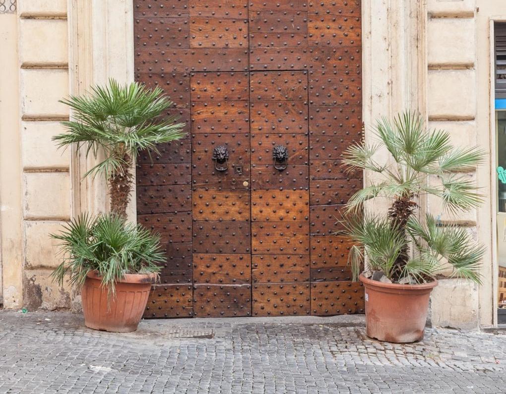 הוילה רומא Boutique Domus Navona Librari מראה חיצוני תמונה